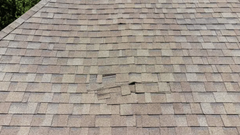 Aging asphalt shingle roof showing curling shingles and surface wear that can lead to roof leaks and water damage.